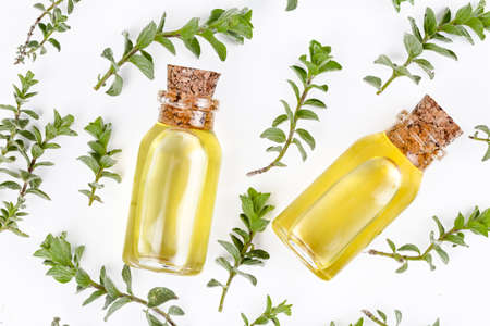 A bottle of thyme essential oil with fresh thymeの写真素材
