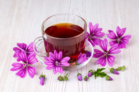 Mallow herb (Malva Vulgaris) mallow flower tea in cup.の写真素材