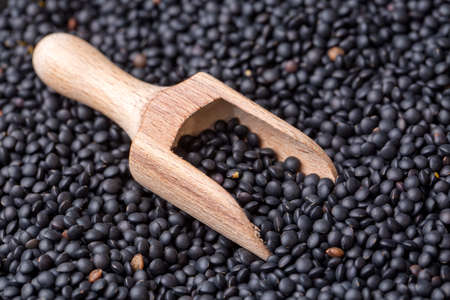 Black lentils in a wooden scoop on a background of black lentilsの写真素材