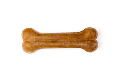 Dog chewing, gnawing bone on a white backgroundの写真素材