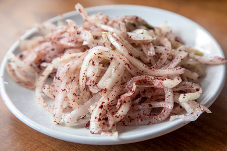 Turkish onion salad is served with kebab accompanied by lemon and parsley.の写真素材