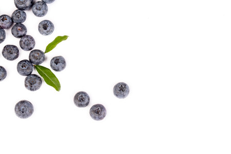 Fresh blueberries with blueberry leaves isolated on white background.の写真素材