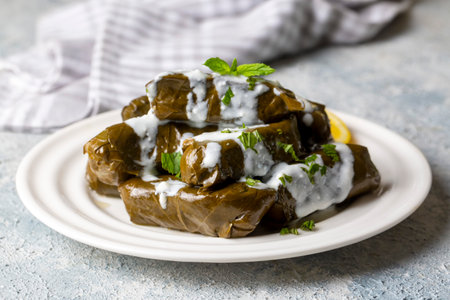 Traditional delicious Turkish foods; stuffed leaves (Turkish name; leaf wrap)の写真素材