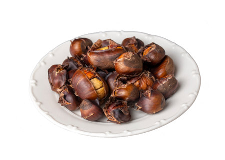 Chestnut kebab on the grillの写真素材