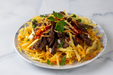 Turkish food; Cokertme Kebab - Beef meat kebab with yoghurt and french friesの写真素材