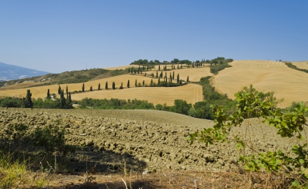 Winding Road in Tuscany - Italyの写真素材