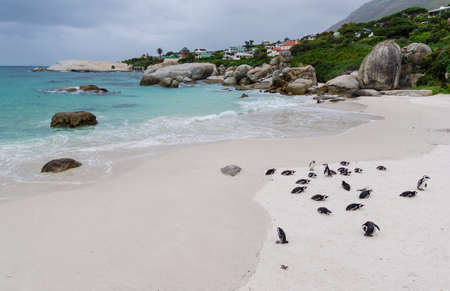 Boulders Beach in Cape Town South Africaの写真素材