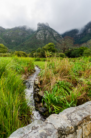 Kirstenbosch Botanical Gardens in Cape Town  South Africaの写真素材