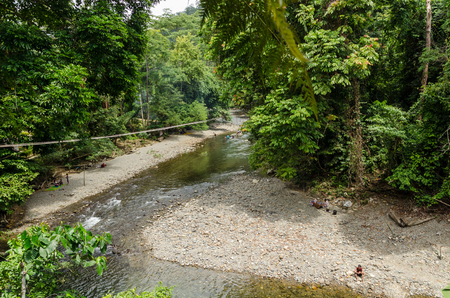River of Tangkahan in Sumatra, Indonesiaの写真素材