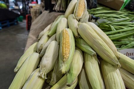 Corn on the cob on a vegetables stall sold at Borough Market in London, UKの写真素材