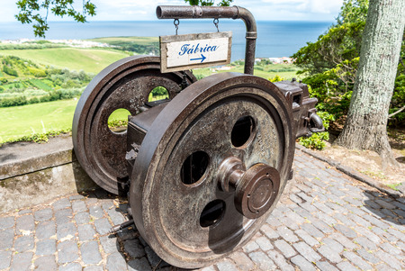 Tea plantations in Porto Formoso on the island of Sao Miguel, Portugal