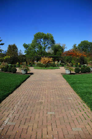 garden in autumnの写真素材