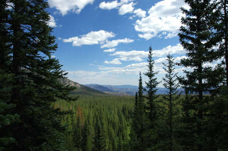 scenic view from hiking trail