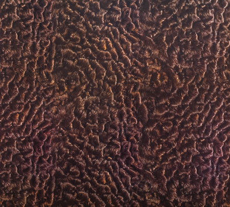 Background image of the lamb's skinの写真素材
