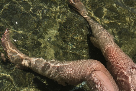 Legs in waterの写真素材