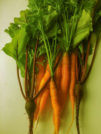 Organic vegetables. Freshly Picked Beetroot and Carrots.