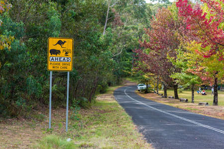 Australian outback road with Wildlife ahead road sign. Country road in rural Australia with Kangaroo, Wombats, Wildlife ahead on the road warning road signの写真素材