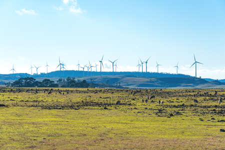 Windmill electricity turbine with countryside background. Farmland and wind turbines. Myrtleville, NSW, Australiaの写真素材