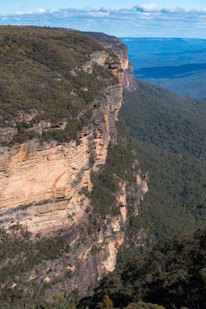 Blue mountains landscape with eucalyptus forest. Wentworth Falls, New South Wales, Australiaの写真素材