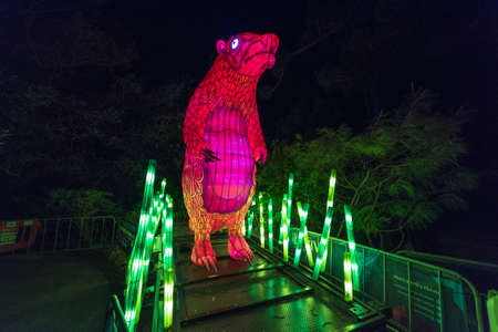 Sydney, Australia - June 11, 2016: Vivid Sydney at Taronga Zoo. Light sculptures of animals at famous Sydney tourist attraction Taronga Zoo during annual Vivid Sydney light festivalのeditorial素材