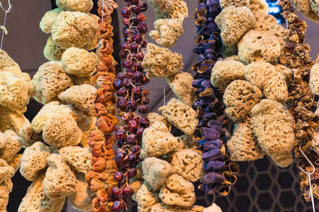 Sponges and berries on rope hanging decoration