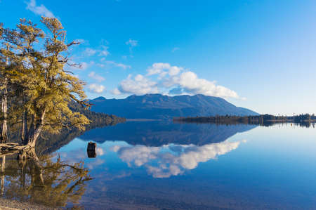 Lake Bruner on calm weather with mirror like smooth water surface and reflection of trees and mountains. South Island, New Zealandの写真素材