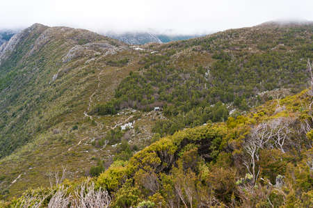 Highland landscape with green forest and trekking path with Rangers hut. Overland hiking track in Cradle Mountain National Park, Tasmania, Australiaの写真素材
