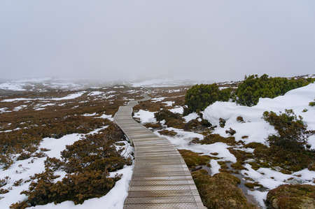 Hiking path in the mountain in winter blizzard. Overlander Track, Cradle Mountain National Park, Tasmania, Australiaの写真素材