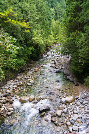 Forest landscape with rapid shallow stream with crystal clear waters. Japanese nature background. Ookuwa, Nagano prefecture, Japanのeditorial素材