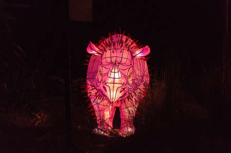 Sydney, Australia - June 11: Vivid Sydney at Taronga Zoo wart hog light sculptureのeditorial素材