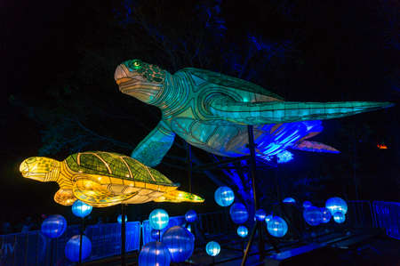 Sydney, Australia - June 11: Vivid Sydney at Taronga Zoo marine turtles light sculptureのeditorial素材