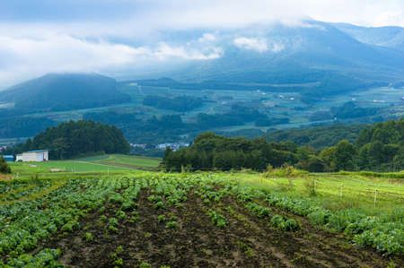 Beautiful countryside landscape of harvest field with farmland and mountains in the distance. Japanの写真素材