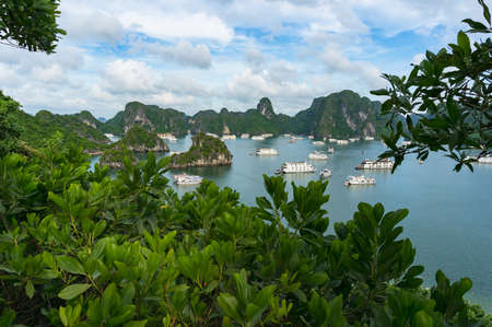 Beautiful Halong Bay landscape with cruise boats on sunny day