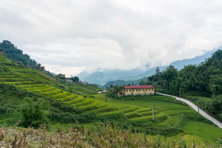 Vietnamese countryside landscape with rice paddy. SaPa, Vietnamのeditorial素材