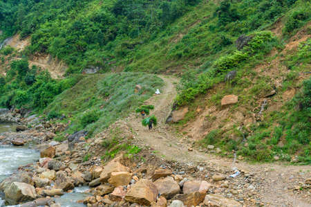 SaPa, Vietnam - August 16, 2017: Children carrying leaf heaps along unsealed rural roadのeditorial素材