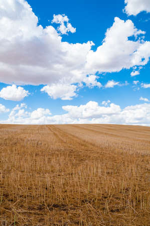 Australian outback landscape of dry pastures and paddocks on sunny day. Australiaの写真素材