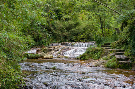 Nature background with river in the forest. Golden Streams, Vietnamの写真素材