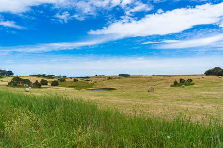 Picturesque rural landscape of field with straw bales and small pond on sunny dayの写真素材