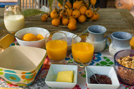 Countryside breakfast with cereal and fresh juice outdoors on sunny day