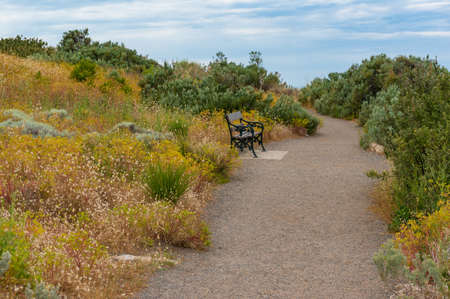 Path with bench in the park. Outdoor scene, nature backgroundの写真素材