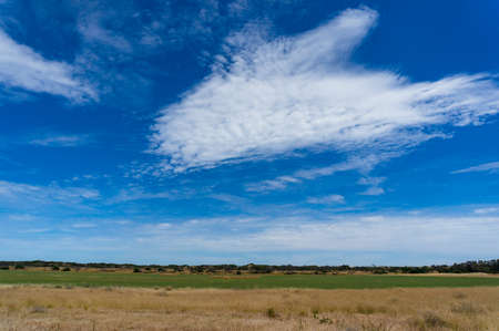 Panoramic agriculture landscape with round bales of straw on a field and spectacular sky. Nature...