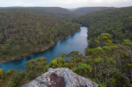 Aerial landscape of river and eucalyptus forest. Wilderness nature backgroundの写真素材