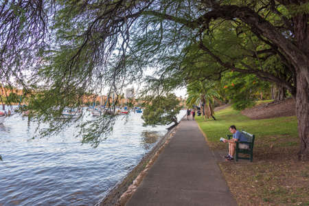 Brisbane, Australia - February 20, 2016: Man reading a book on a bench in Brisbane City Botanic Gardensのeditorial素材