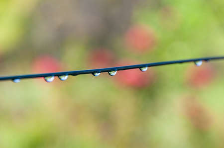 Close up of metallic wire with water droplets against bokeh backgroundの写真素材