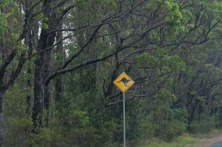 Yellow road sign with kangaroo silhouette. Road trip in Australia, Australian culture