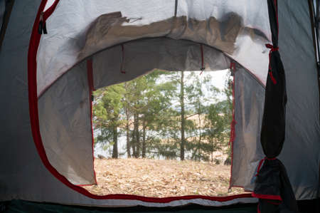 Looking outside through the camping tent door. Camping, outdoor adventure backgroundの写真素材
