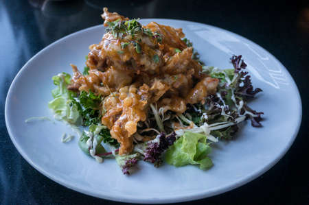 Tempura crab served with sauce and lettuce leaves. Traditional Japanese meal, food background