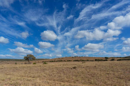 Spectacular African savannah landscape with epic sky, nature backgroundの写真素材