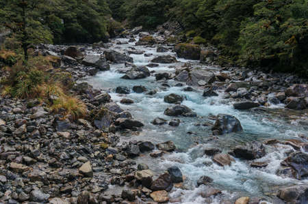 Forest landscape with icy cold mountain stream water flowing on rock riverbed surrounded by green...