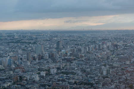 Aerial view of Tokyo cityscape at blue hour, at dusk. Birds eye view of Tokyo, Japan